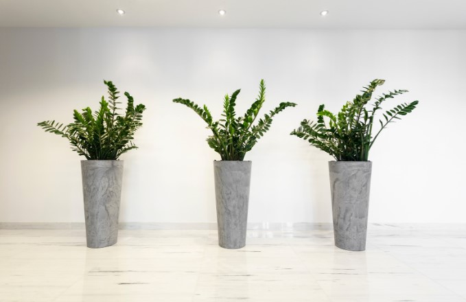 Значение цветов по фен-шуй для гармонии в доме