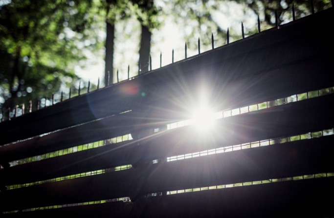 виды заборов на дачном участке